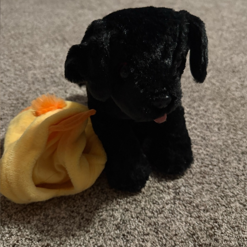 Melissa & Doug Black Lab Puppy (with duck costume from Joann’s. Stuffed animal.